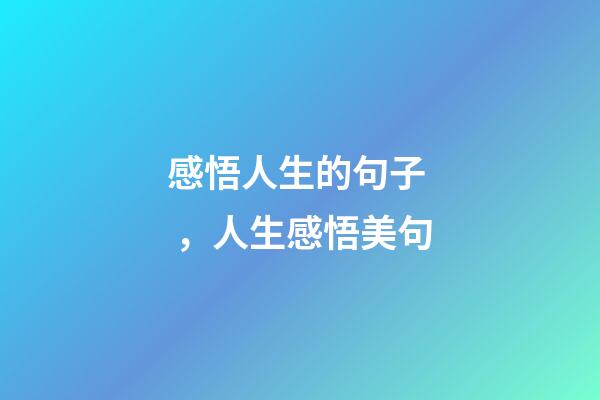感悟人生的句子，人生感悟美句